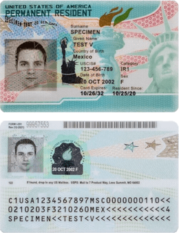 USCIS 官方 SPECIMEN 绿卡正反面上下并排:上方为正面示范卡,下方为背面,背面含表格编号 FORM I-551、条码、第二张示范人像、日期戳与三行机器可读区示范字符。 本站仅去除卡外背景的透明展示版,非官方原图。