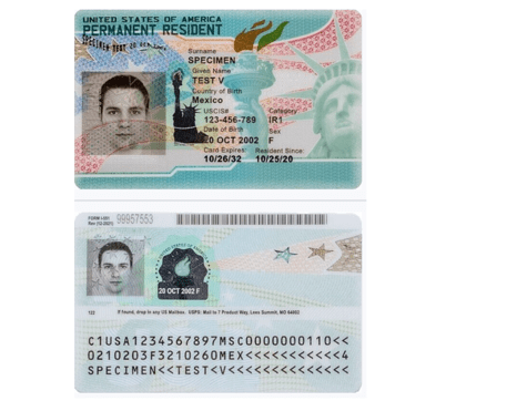 USCIS 官方 SPECIMEN 绿卡正反面上下并排:上方为正面示范卡,下方为背面,背面含表格编号 FORM I-551、条码、第二张示范人像、日期戳与三行机器可读区示范字符。